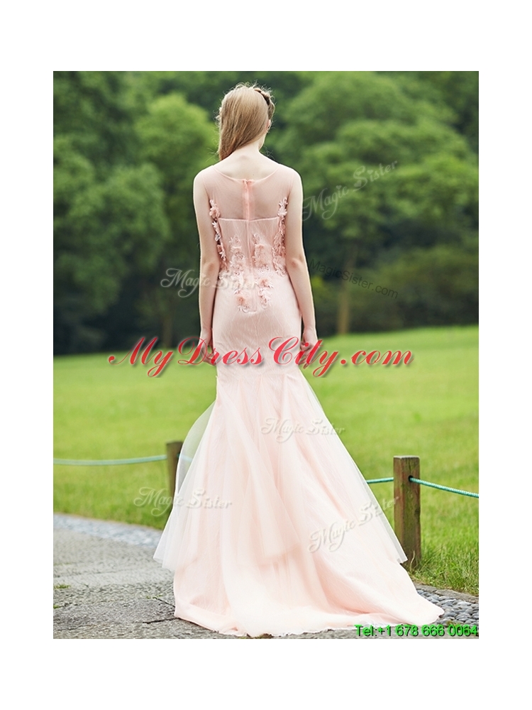 Luxurious See Through Light Pink Mermaid Mother Dress with Brush Train