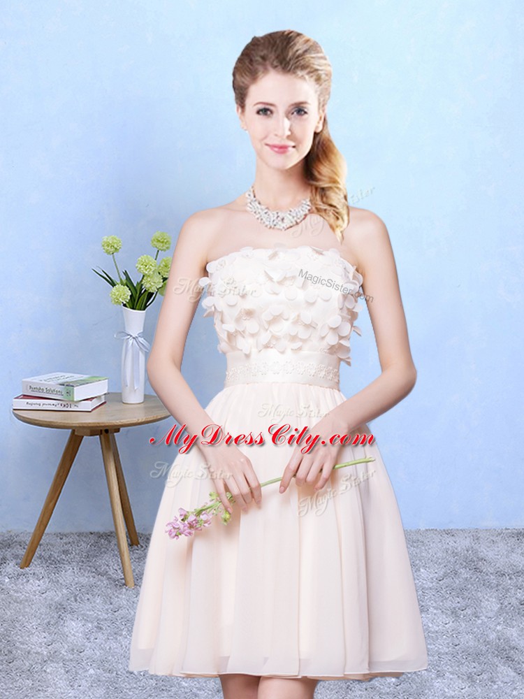 Champagne Lace Up Court Dresses for Sweet 16 Appliques Sleeveless Knee Length