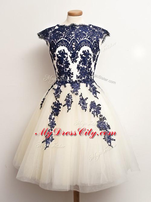 Fine Mini Length A-line Sleeveless Blue And White Wedding Guest Dresses Lace Up