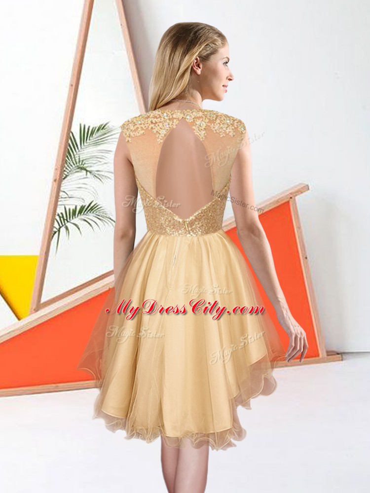 Dramatic A-line Organza Bateau Sleeveless Beading and Lace Knee Length Backless Quinceanera Court of Honor Dress