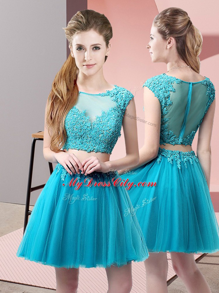 Fashionable Baby Blue Sleeveless Appliques Mini Length Prom Party Dress