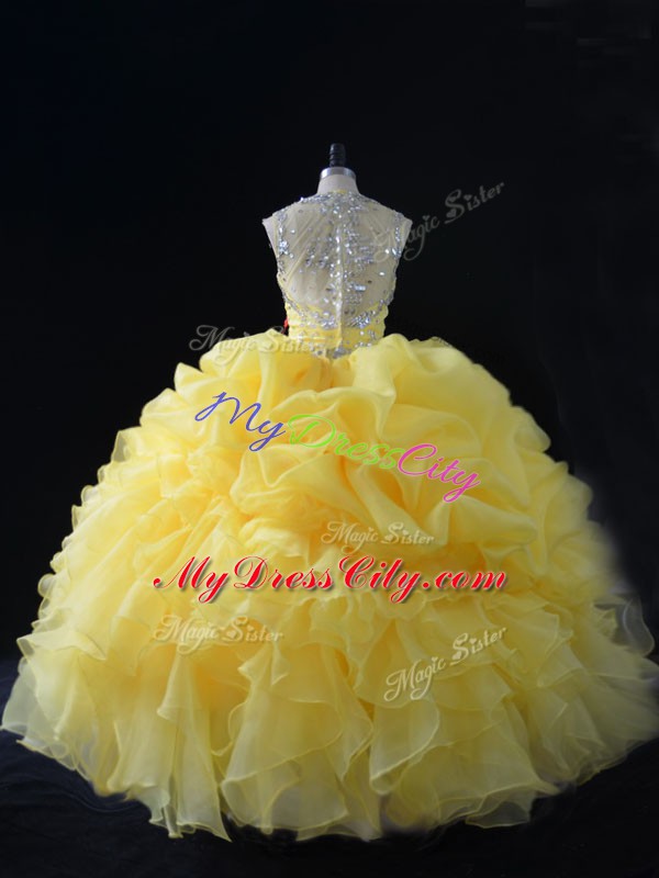 Eye-catching Organza Sleeveless Floor Length Sweet 16 Quinceanera Dress and Beading and Ruffles and Pick Ups