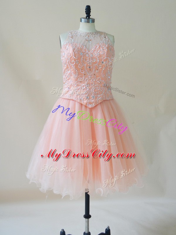 Flirting Scoop Sleeveless Lace Up Pink Organza