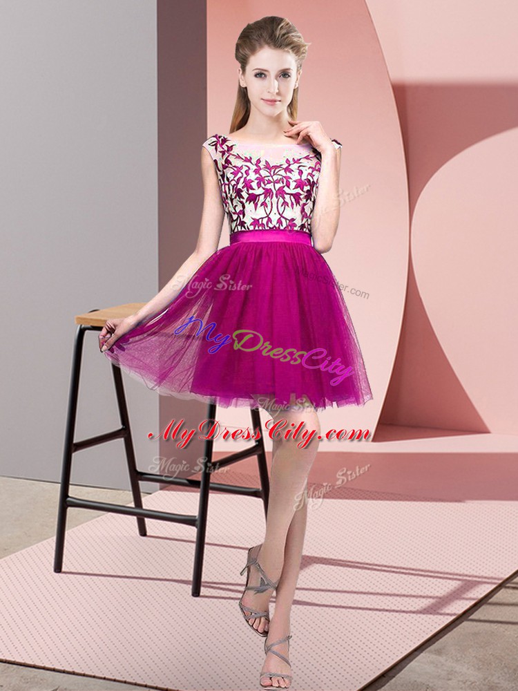 Luxury Mini Length A-line Sleeveless Fuchsia Dama Dress Zipper