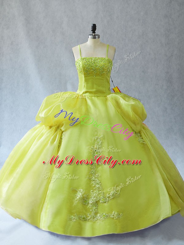 Organza Sleeveless Floor Length Sweet 16 Dress and Appliques