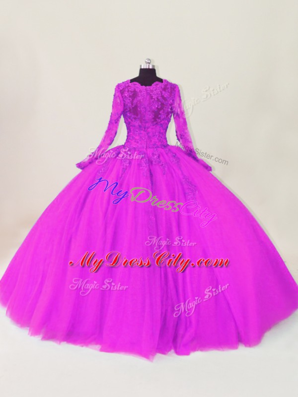 Graceful Long Sleeves Lace and Appliques Zipper Quinceanera Dress