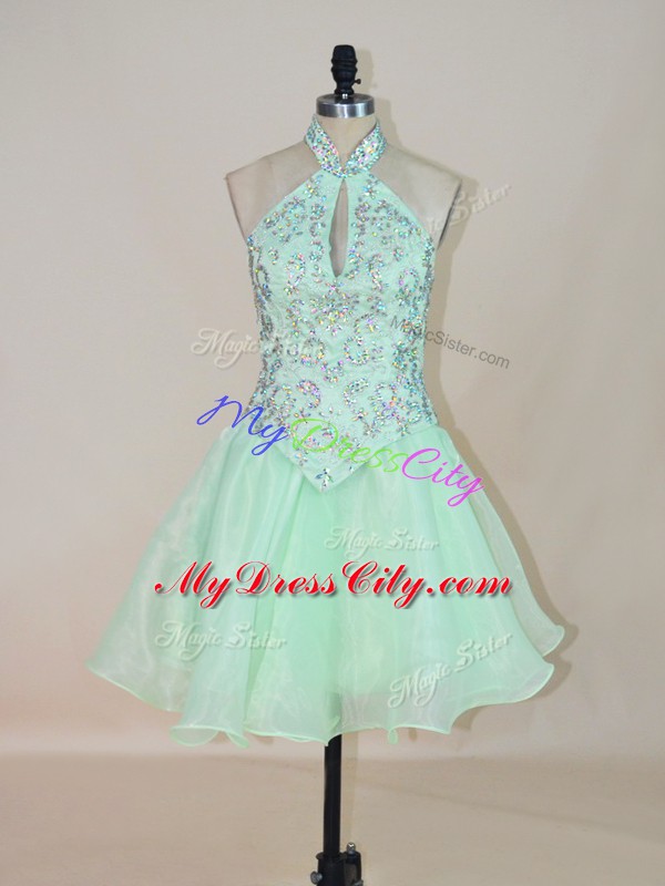 Discount Sleeveless Lace Up Mini Length Beading Homecoming Party Dress