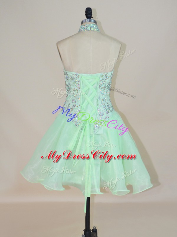 Discount Sleeveless Lace Up Mini Length Beading Homecoming Party Dress