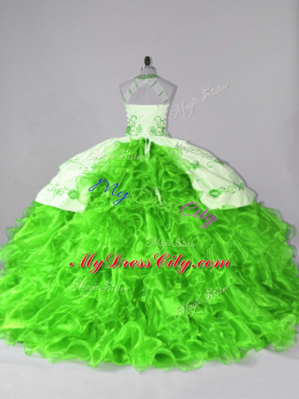 Ball Gowns Embroidery and Ruffles 15th Birthday Dress Lace Up Organza Sleeveless