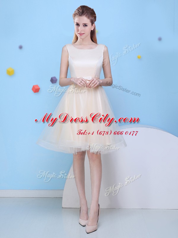 Fine Scoop Sleeveless Lace Up Quinceanera Dama Dress Champagne Tulle