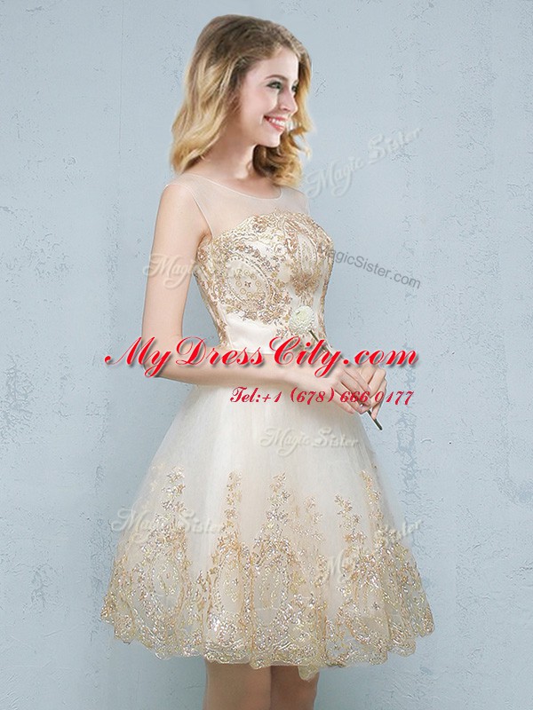 Scoop Sleeveless Lace Up Dama Dress for Quinceanera Champagne Tulle