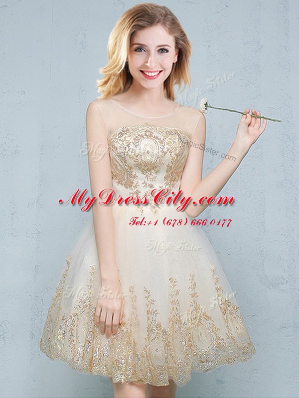 Scoop Sleeveless Lace Up Dama Dress for Quinceanera Champagne Tulle