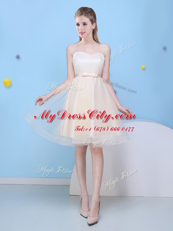 Champagne Sleeveless Tulle Lace Up Wedding Guest Dresses for Prom and Party