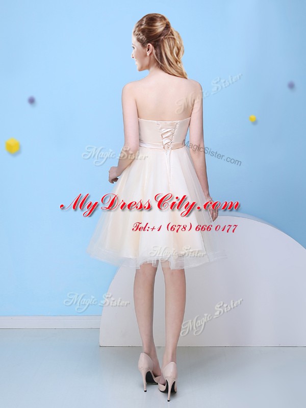 Champagne Sleeveless Tulle Lace Up Wedding Guest Dresses for Prom and Party