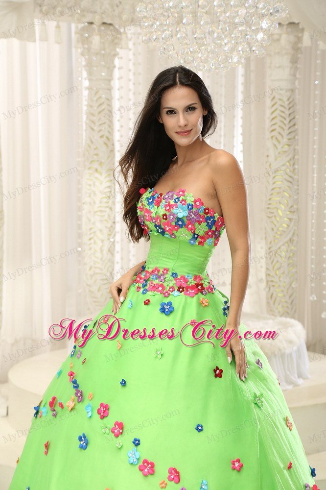 Appliques Decorate Bodice Strapless Spring Green 2013 Quninceaera Gown