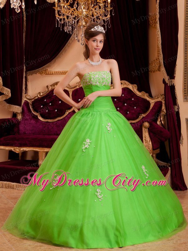 Tulle A-line Princess Appliques Spring Green Quinceanera Gowns