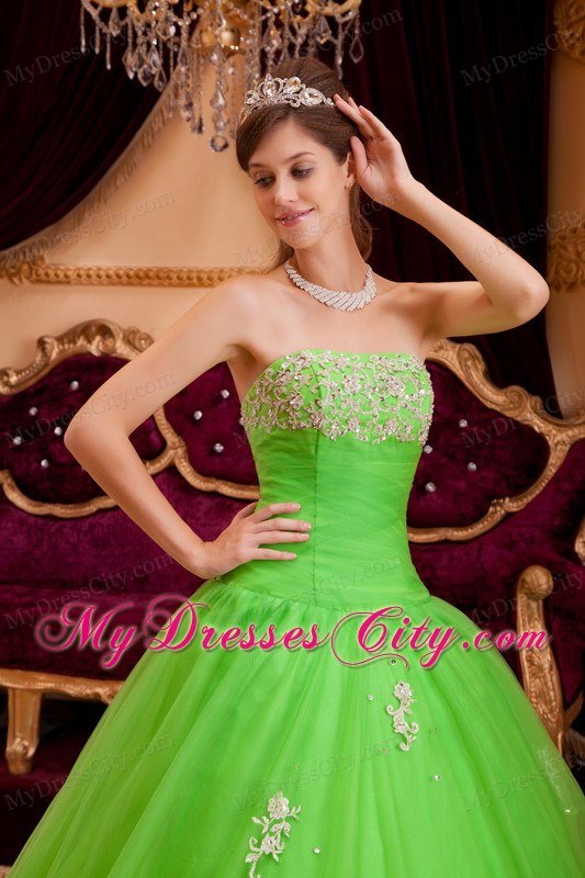 Tulle A-line Princess Appliques Spring Green Quinceanera Gowns