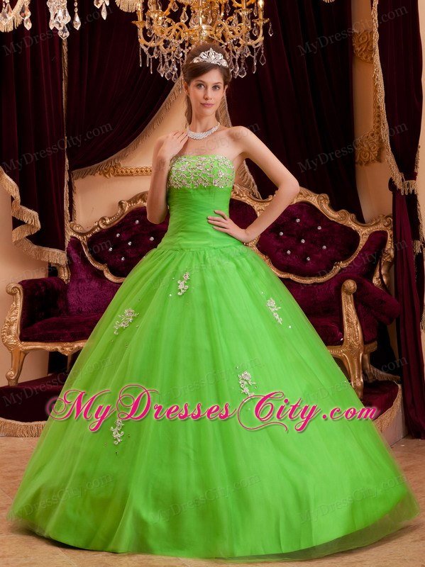 Tulle A-line Princess Appliques Spring Green Quinceanera Gowns