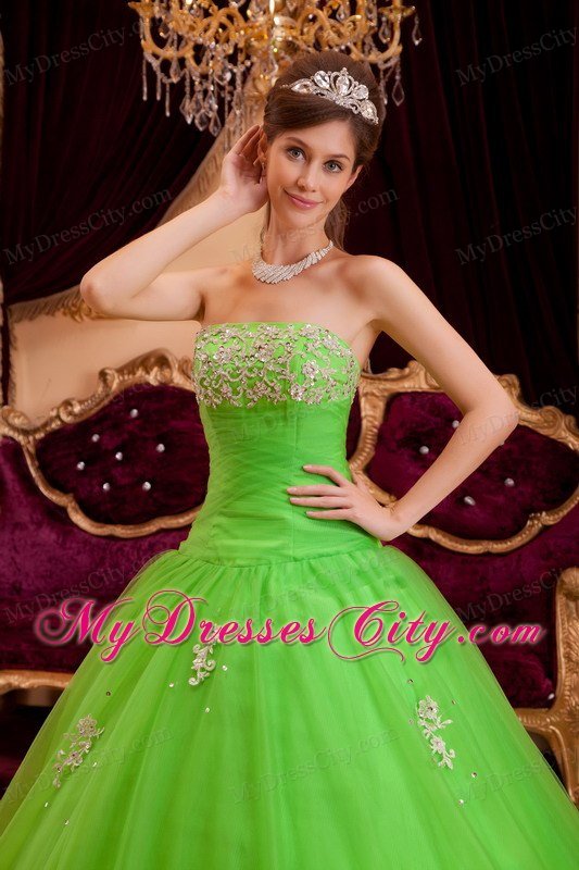 Tulle A-line Princess Appliques Spring Green Quinceanera Gowns