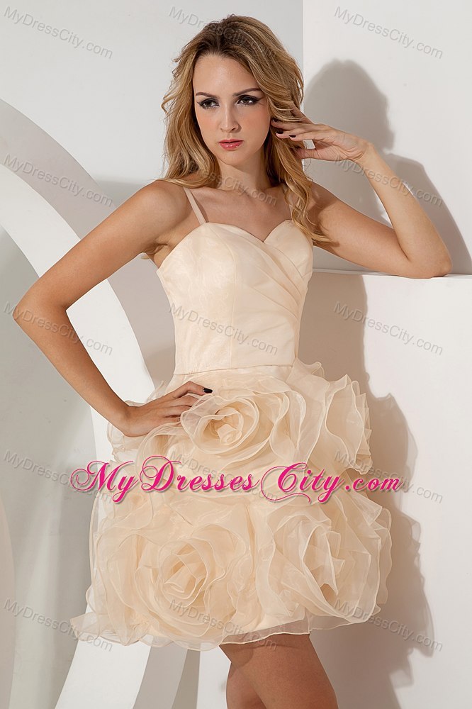 Champagne A-line Organza Spaghetti Straps Short Cocktail Dress