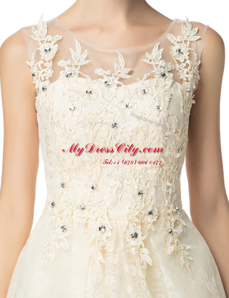 Organza Scoop Sleeveless Lace Up Beading and Appliques Party Dresses in Champagne