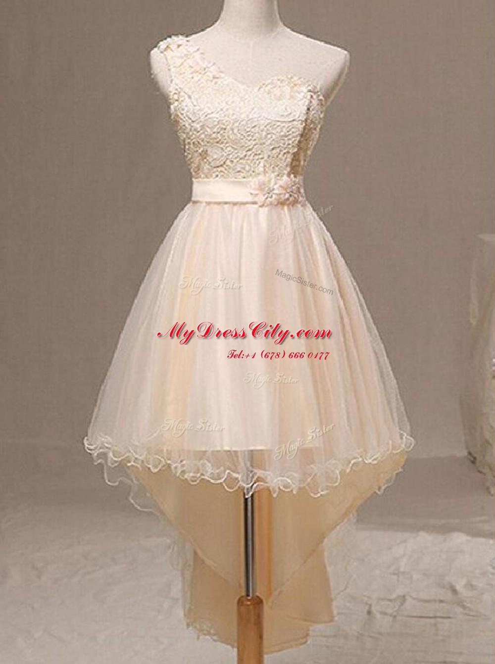 Suitable One Shoulder Champagne A-line Lace and Pleated and Hand Made Flower Prom Dresses Lace Up Organza Sleeveless Knee Length