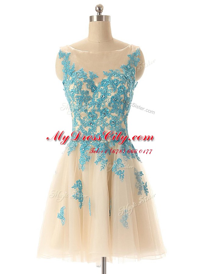 Elegant Mini Length Champagne Prom Dress Bateau Sleeveless Zipper