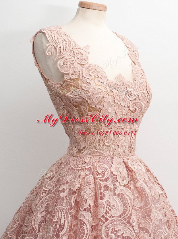 Captivating Baby Pink Zipper V-neck Lace Prom Dress Lace Sleeveless