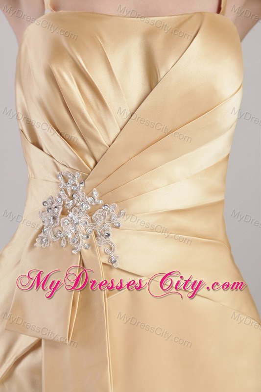 Column Spaghetti Straps Appliques Prom Dresses in Champagne