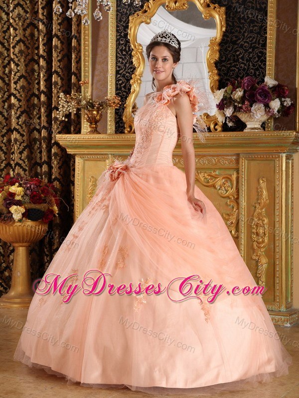 Elegant Flowers One Shoulder Appliques Tulle Peach Quinceanera Dresses