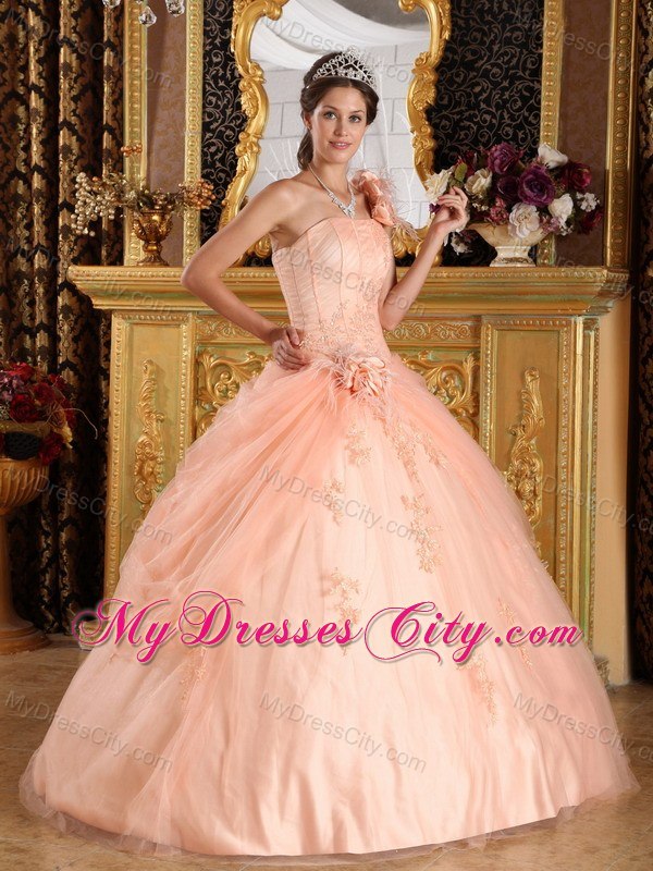 Elegant Flowers One Shoulder Appliques Tulle Peach Quinceanera Dresses