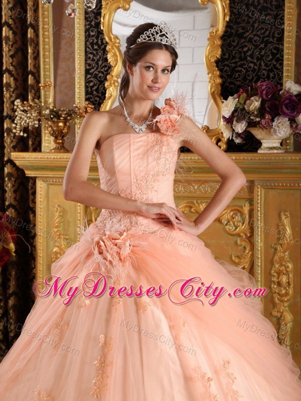 Elegant Flowers One Shoulder Appliques Tulle Peach Quinceanera Dresses