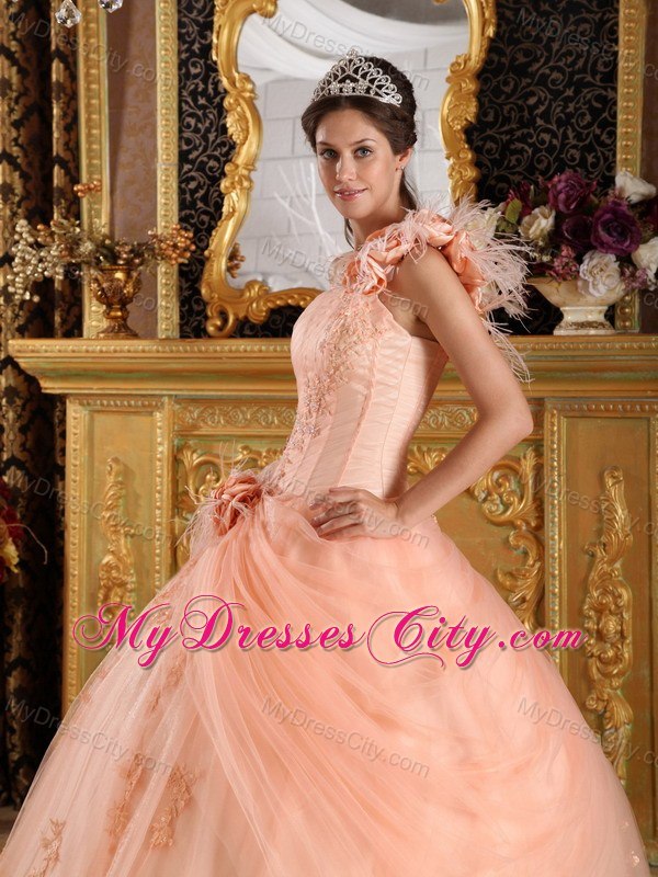 Elegant Flowers One Shoulder Appliques Tulle Peach Quinceanera Dresses