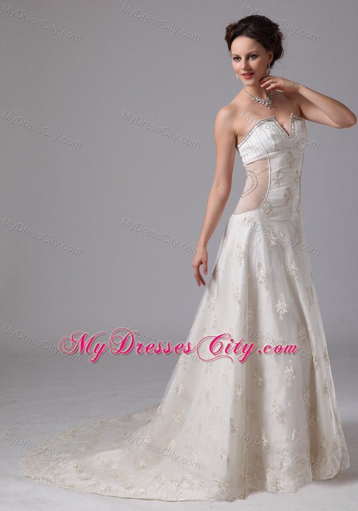 Appliques V-neck Lace Chapel Train Transparent Wedding Dress