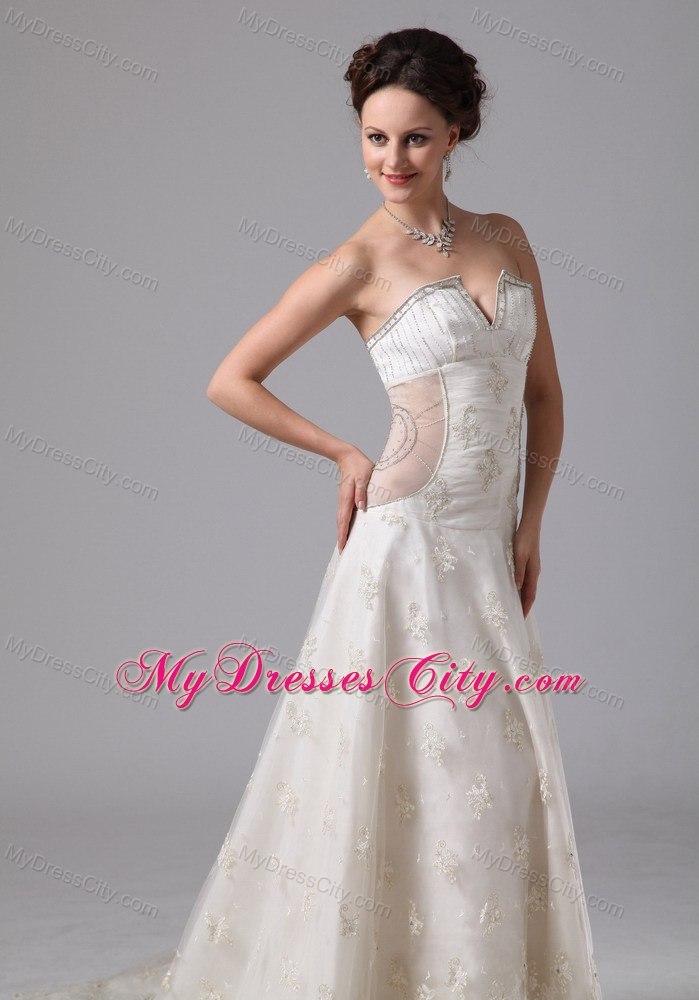 Appliques V-neck Lace Chapel Train Transparent Wedding Dress