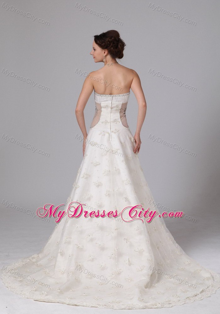 Appliques V-neck Lace Chapel Train Transparent Wedding Dress