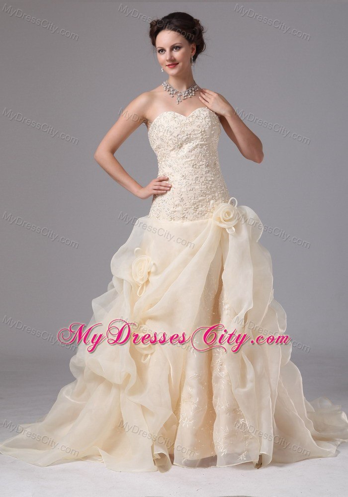 Embroidery Organza Pick Ups Court Train Champagne Wedding Bridal Gowns