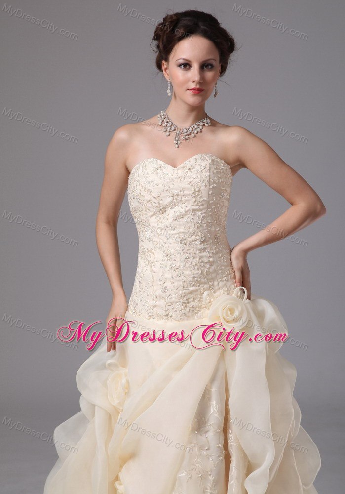 Embroidery Organza Pick Ups Court Train Champagne Wedding Bridal Gowns