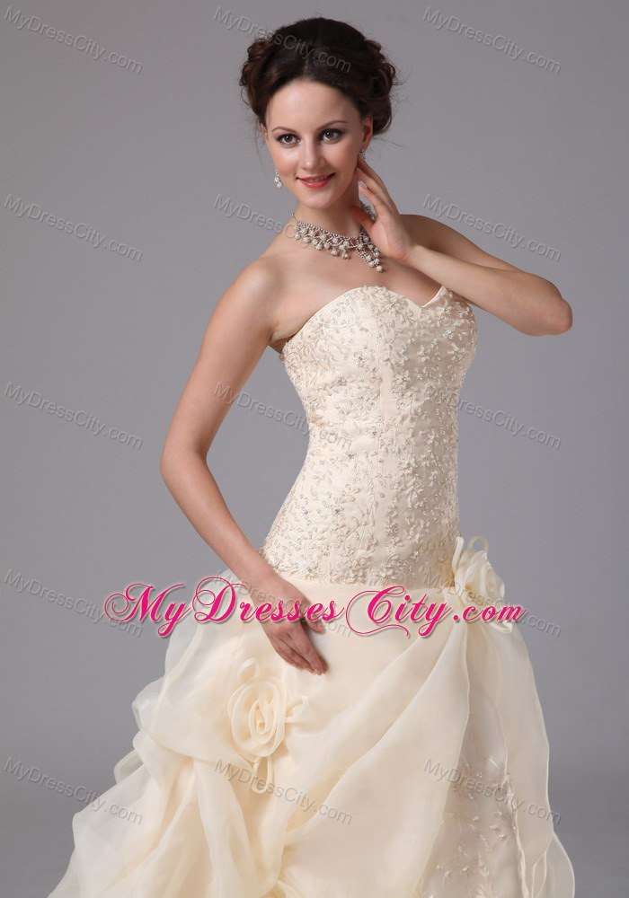 Embroidery Organza Pick Ups Court Train Champagne Wedding Bridal Gowns