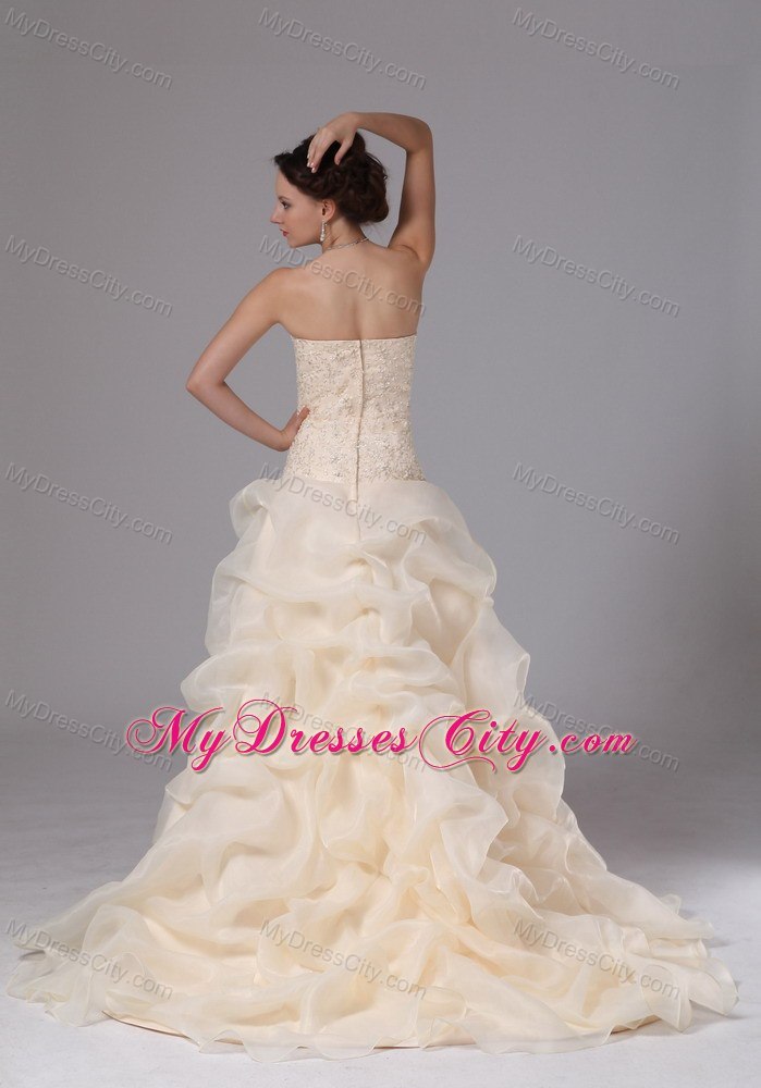 Embroidery Organza Pick Ups Court Train Champagne Wedding Bridal Gowns