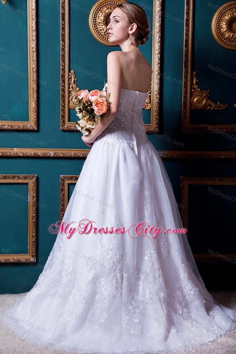 Plus Size Strapless Brush Train Organza Lace Wedding Anniversary Dress