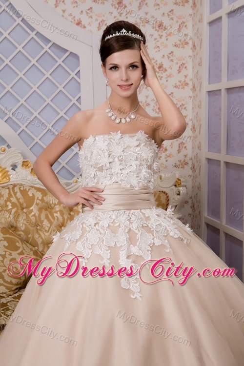 Puffy A-line Strapless Ankle-length Appliques Wedding Gown