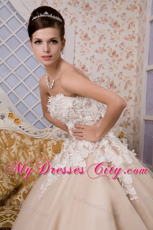 Puffy A-line Strapless Ankle-length Appliques Wedding Gown