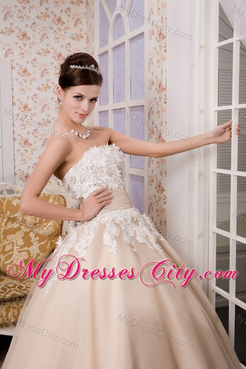 Puffy A-line Strapless Ankle-length Appliques Wedding Gown