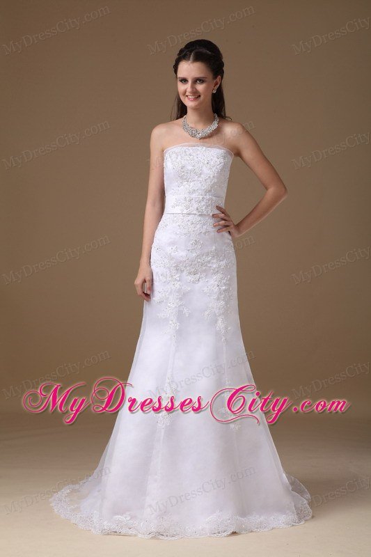 Beautiful A-line Brush Train Lace Wedding Dress with Bowknot