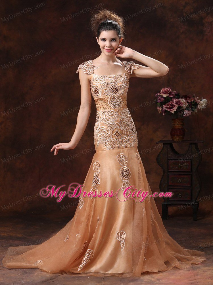 Brown Embroidery Square 2013 Prom Dress With Brush Train