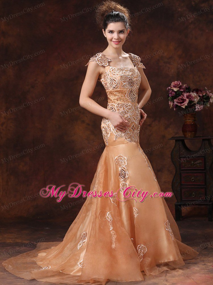 Brown Embroidery Square 2013 Prom Dress With Brush Train