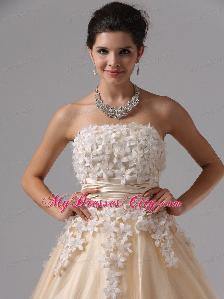 Champagne Appliques Ball Gown Floor-length Prom Dress