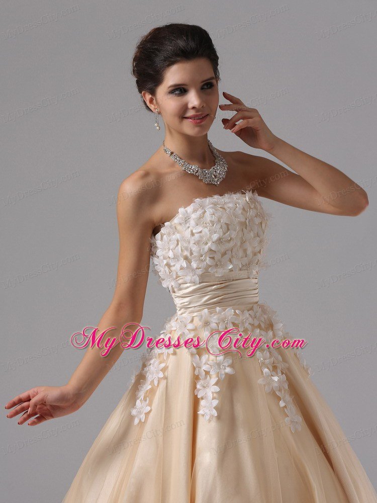 Champagne Appliques Ball Gown Floor-length Prom Dress