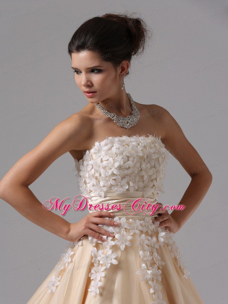 Champagne Appliques Ball Gown Floor-length Prom Dress